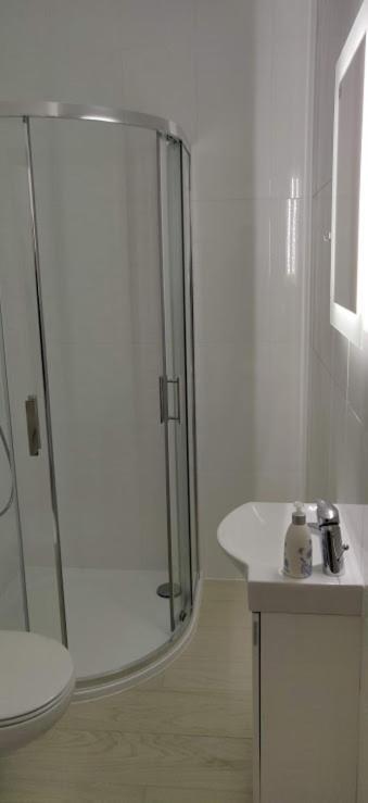 Apartment Hugo Centrum *